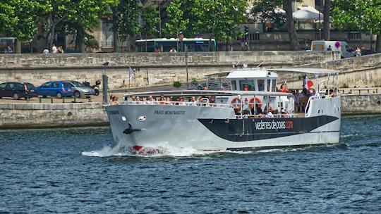 A group of happy tourists boarding a comfortable shuttle in front of a Parisian landmark.
