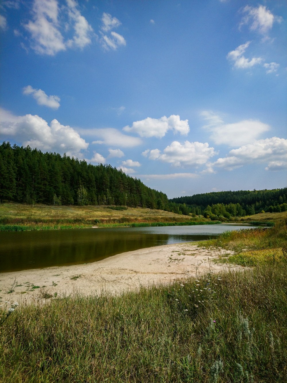 river near green leafed trees