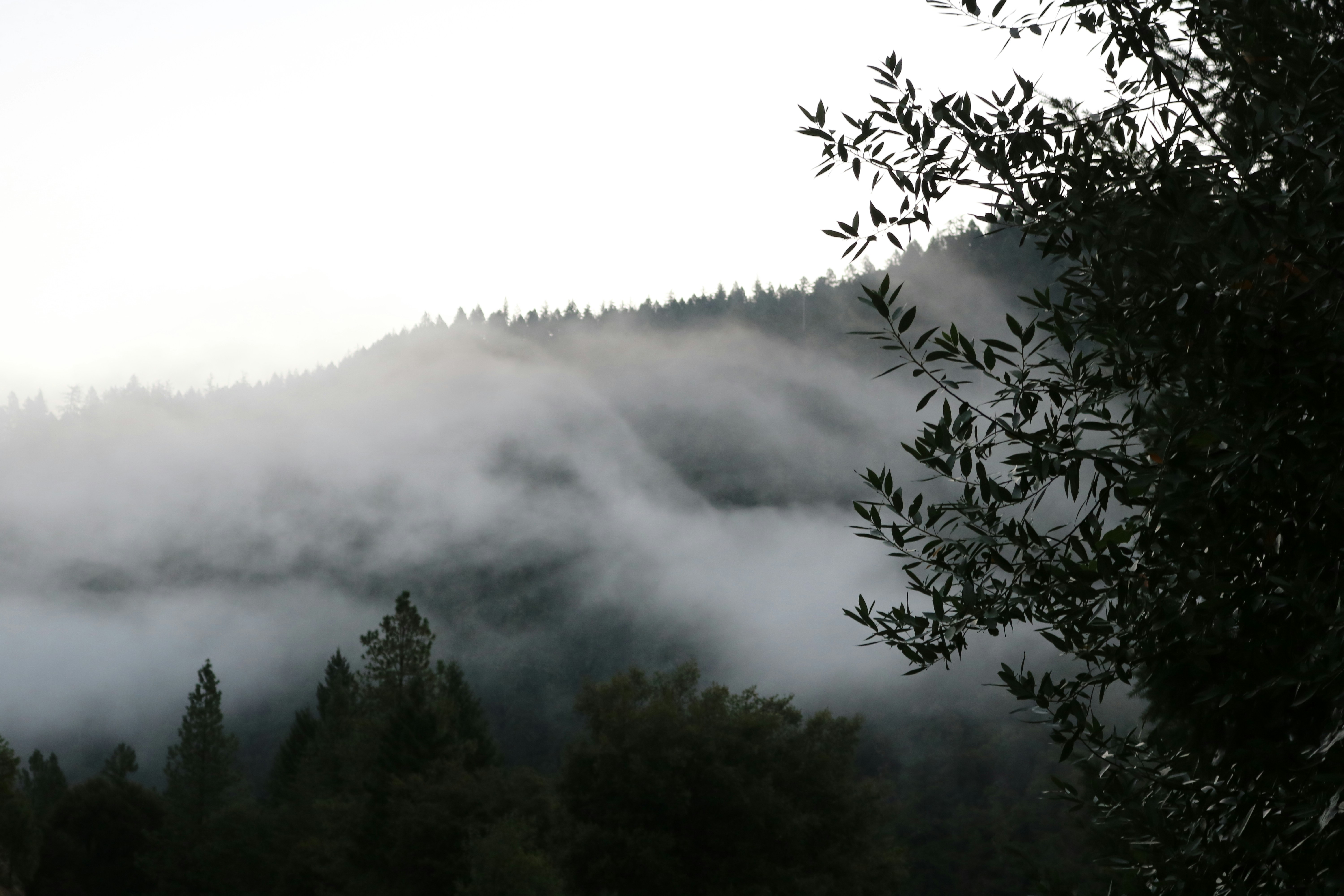 Photo by davidjboozer