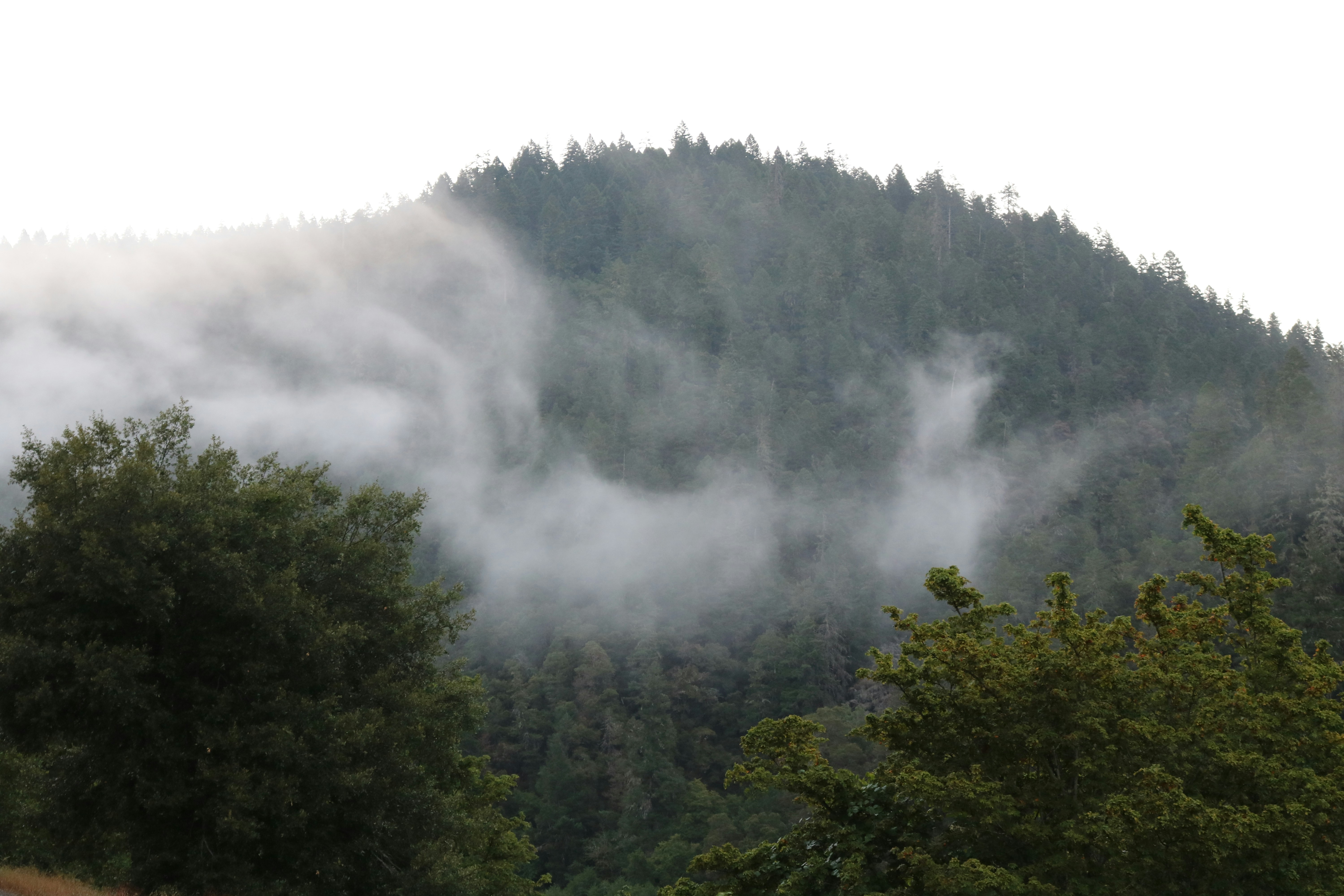 Photo by davidjboozer