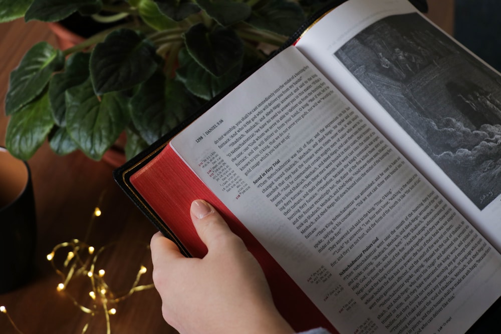 person reading book