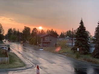 Sunset view over a peaceful suburban street lined with trees.