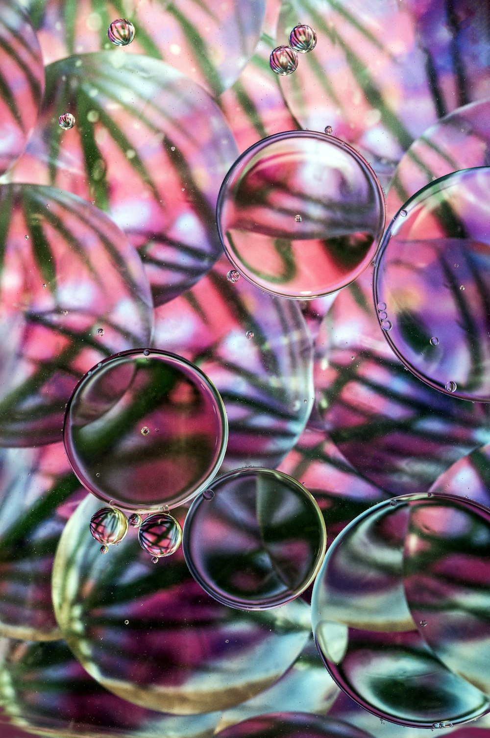 clear bubble water digital wallpaper
