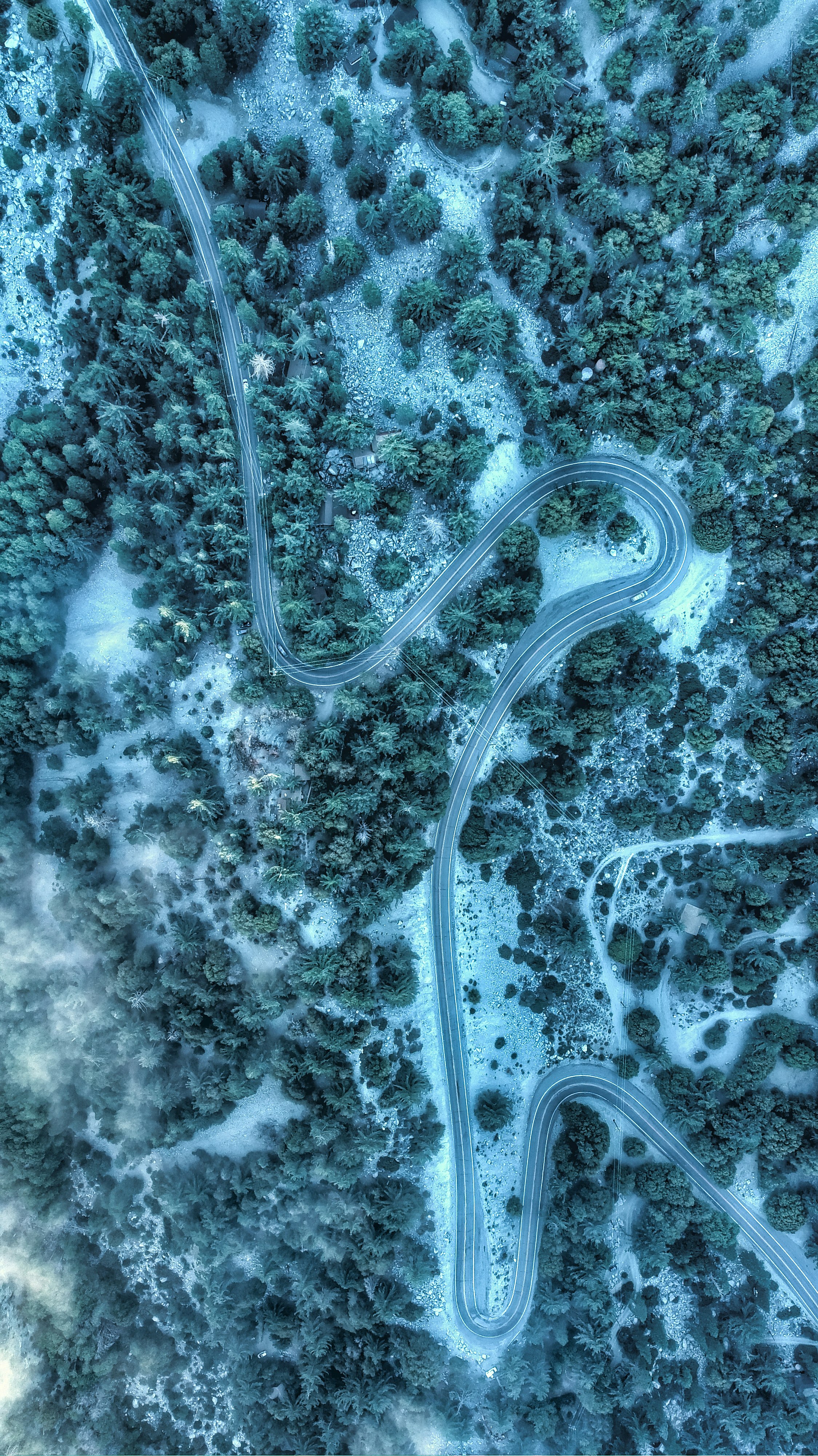 high angle photo of road and trees