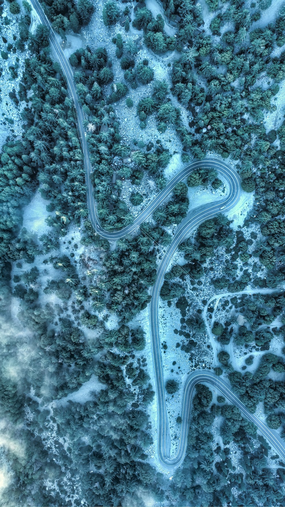 high angle photo of road and trees