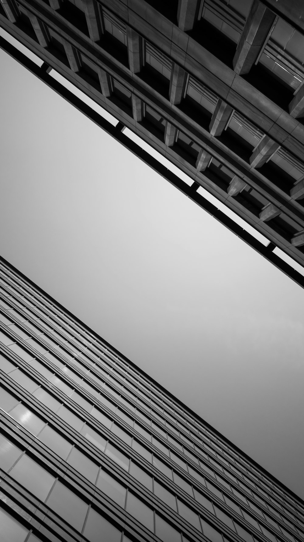 foto dal basso in scala di grigi di edifici