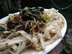A close-up view of a plate filled with flat noodles topped with a mix of greens, bean sprouts, and savory meats in a sauce. The dish is held against a natural outdoor backdrop, indicating a casual dining setting.