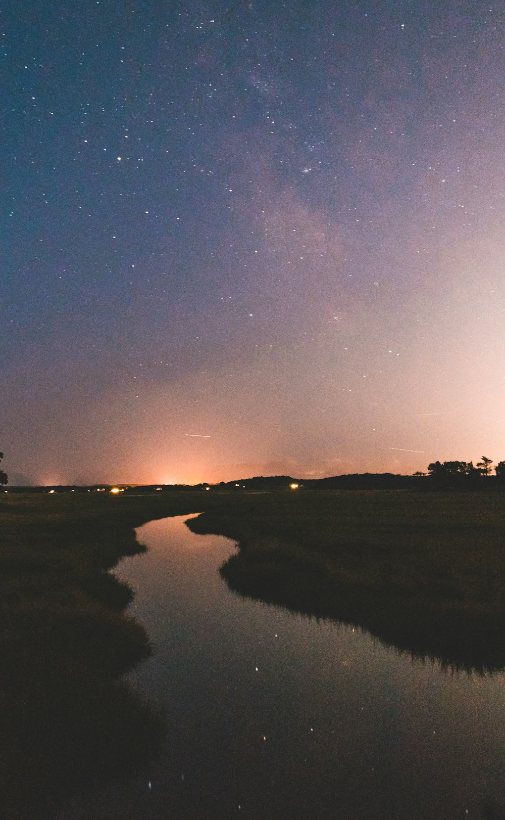 body of water and grasses