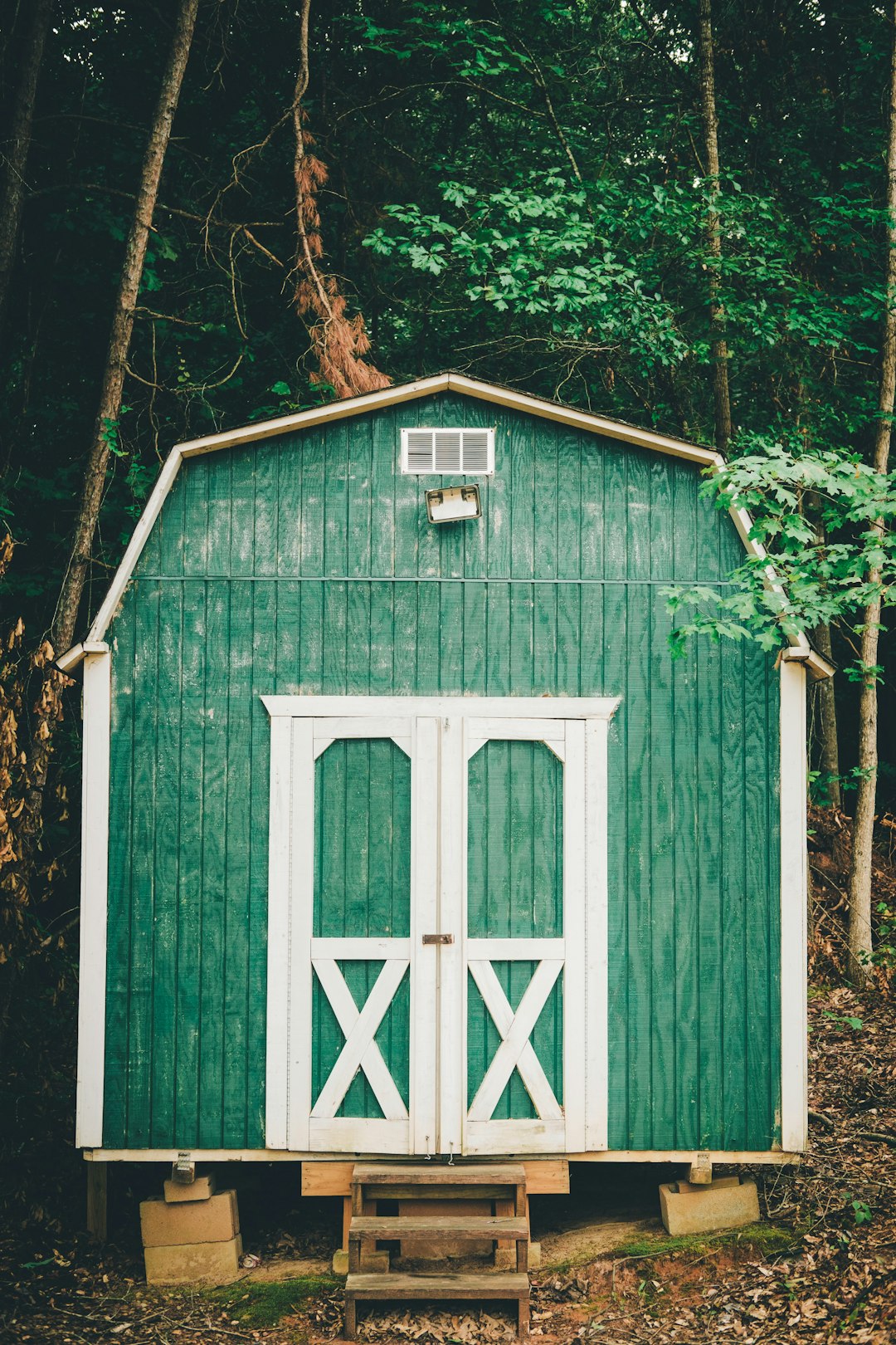 shallow focus photo of green wooden shed