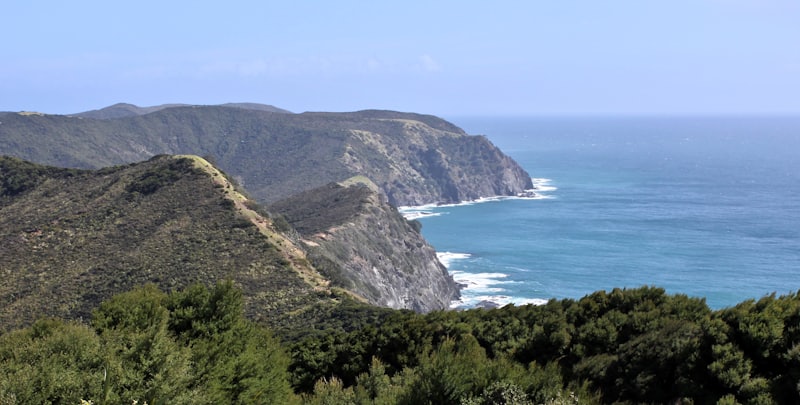 Torrey Pines Docent Society Nature Walks