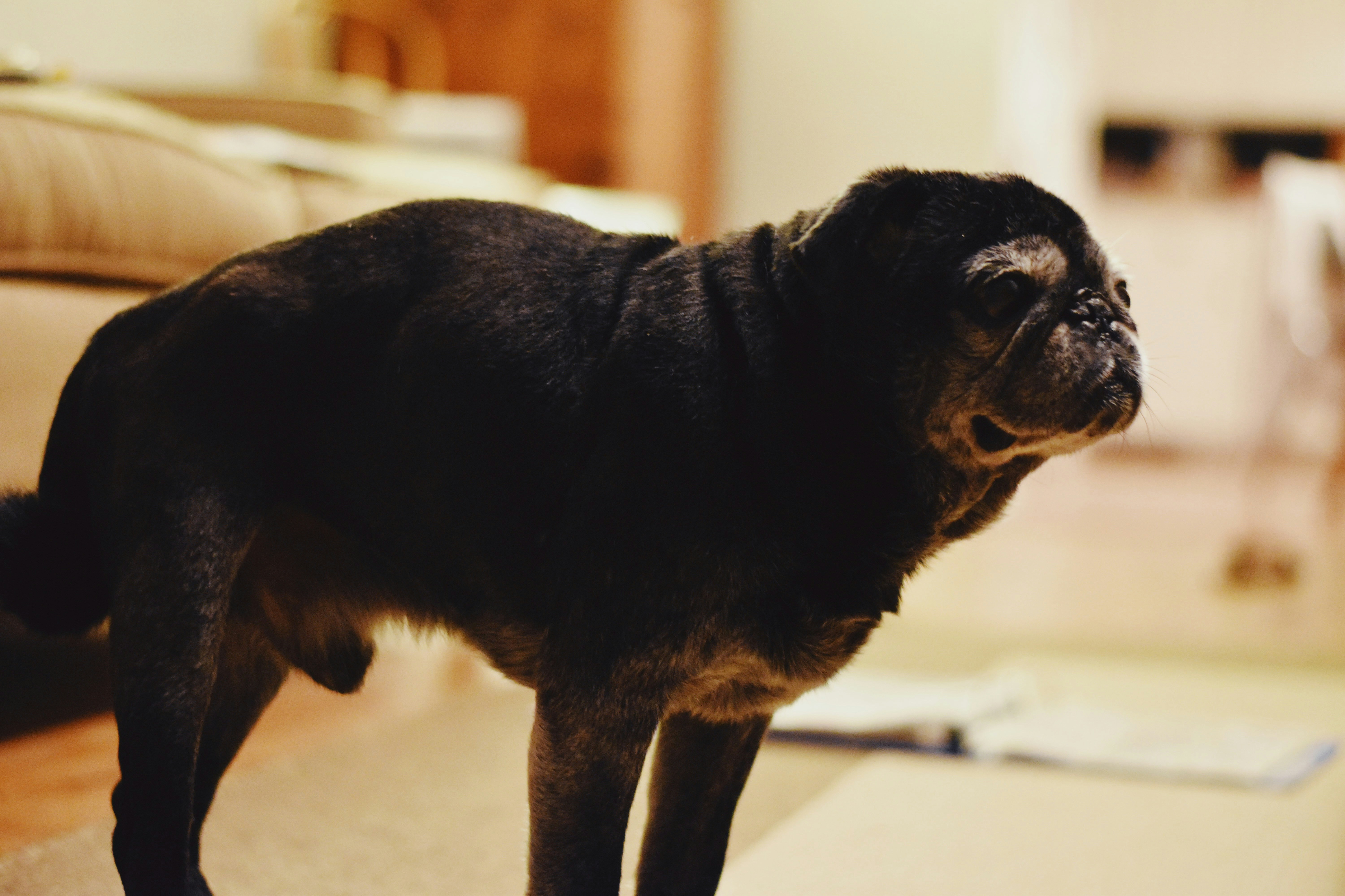 Photo by christopherphigh