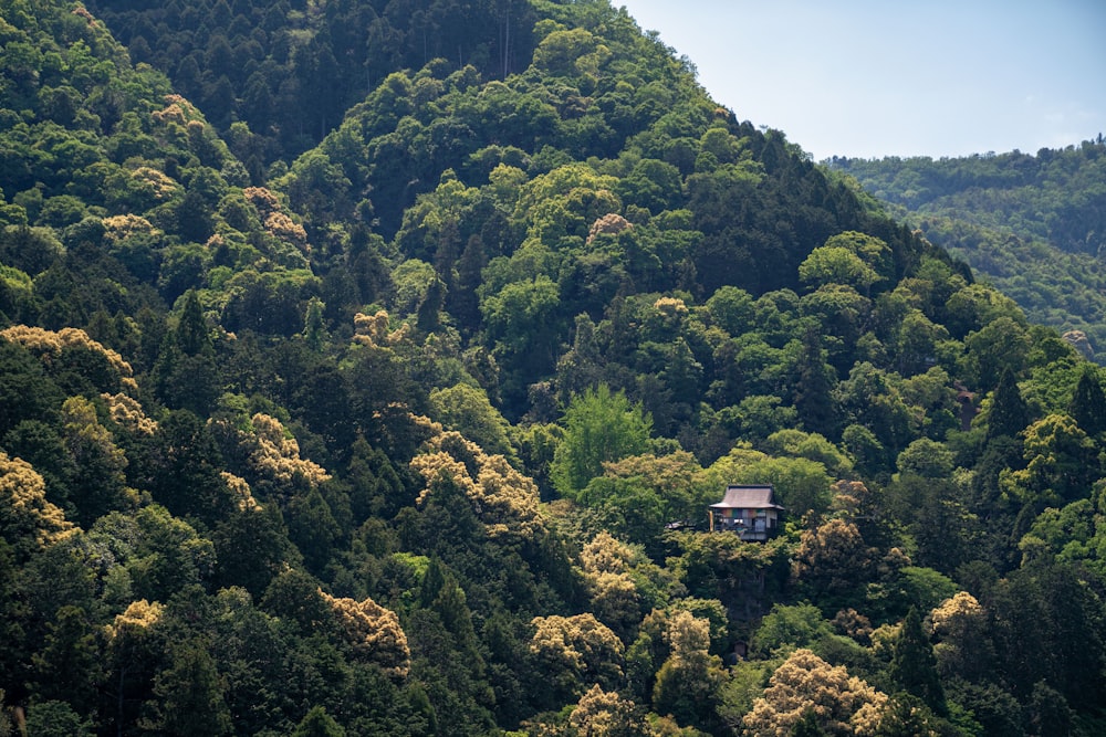 Casa perto de árvores na montanha