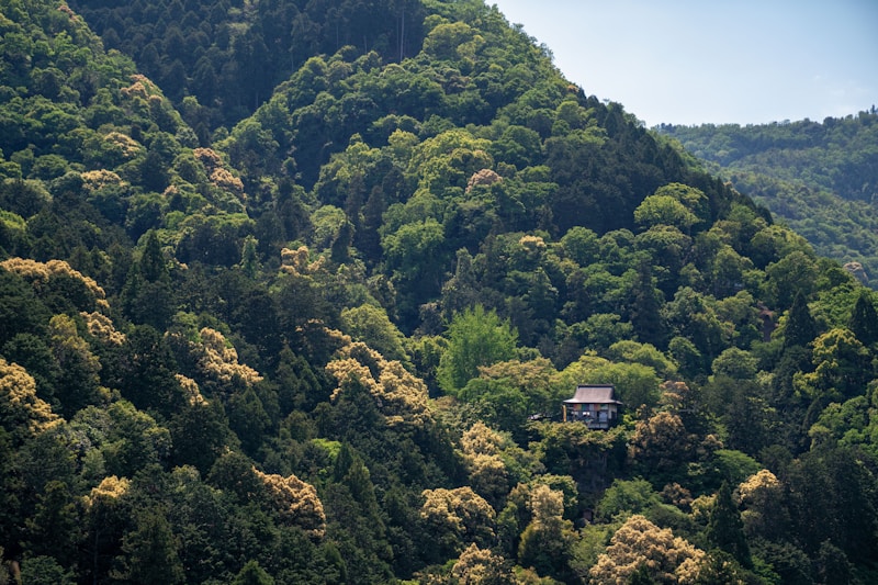 Secluded