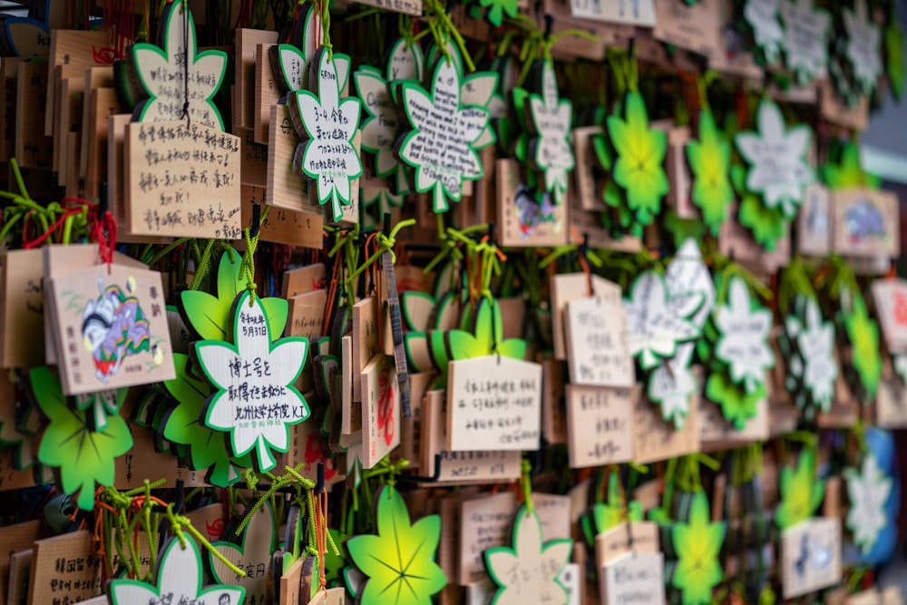 printed boards hanging on wall