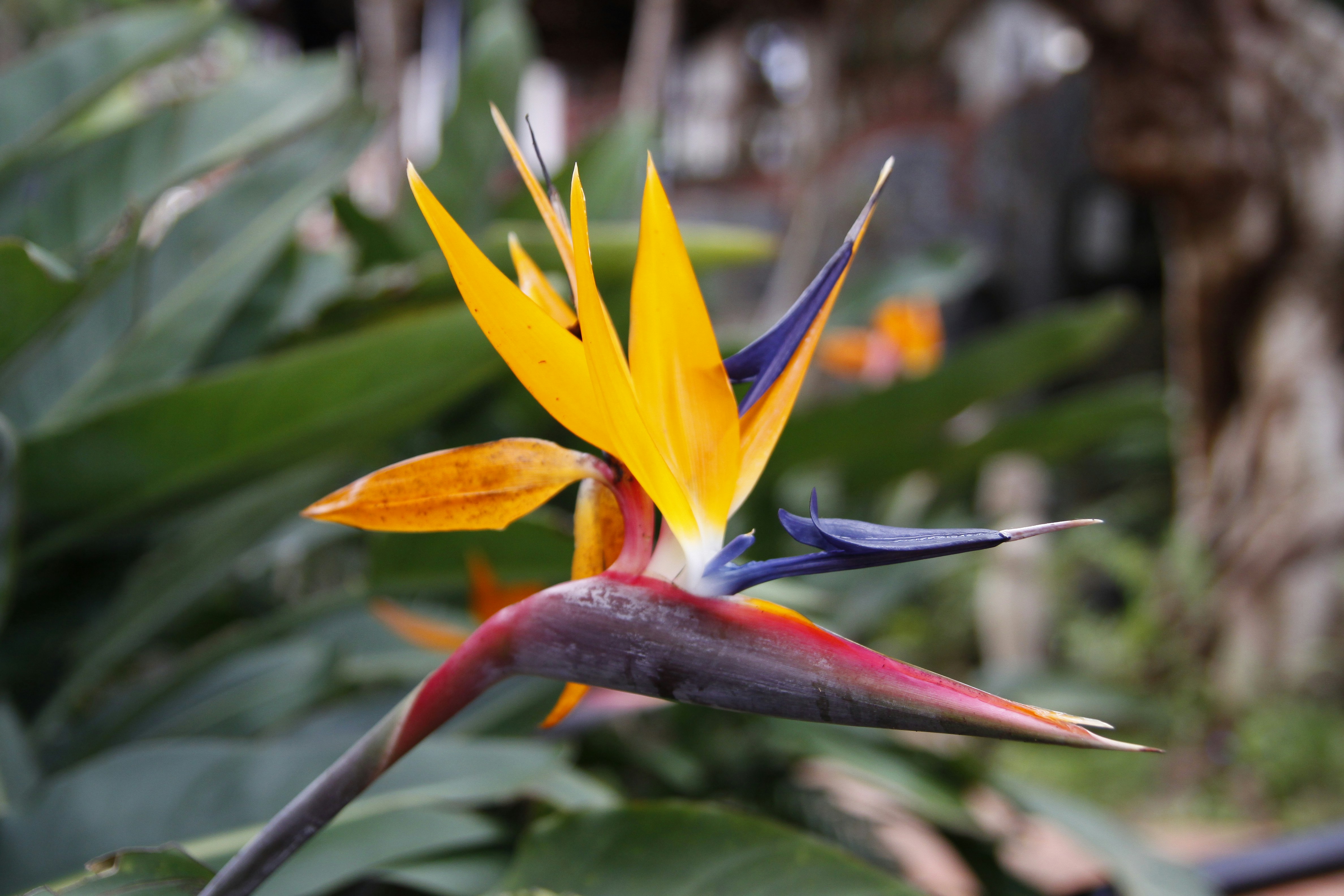 Photo by dangnambinh