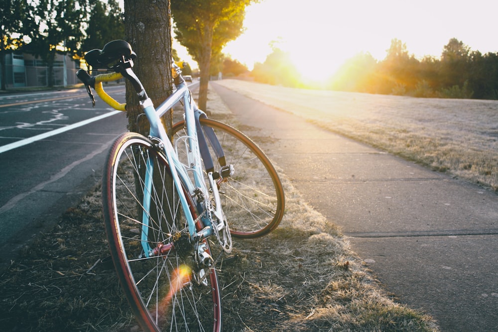 blue road bike parked beside tree