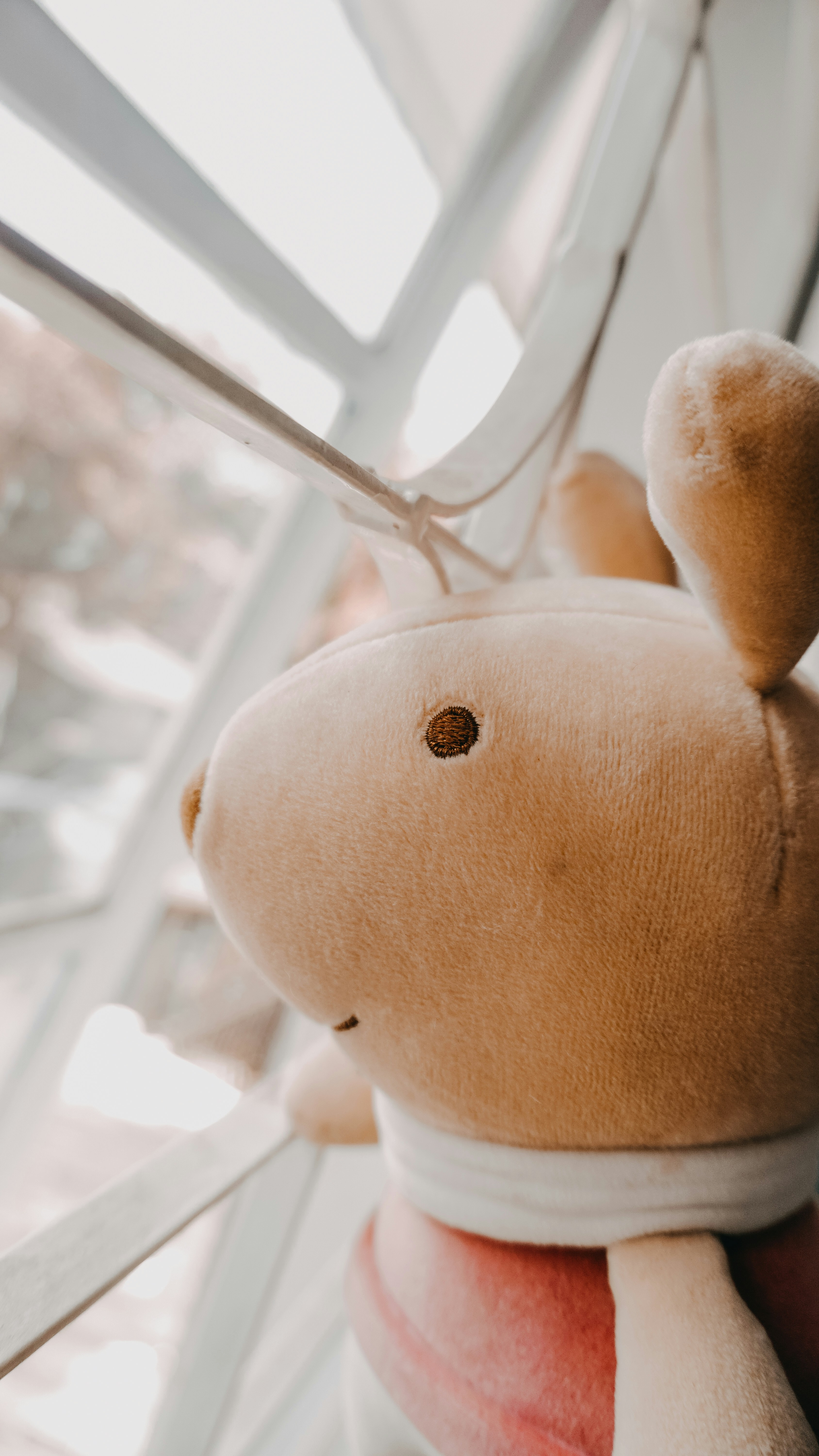 Photo by jawaberkata