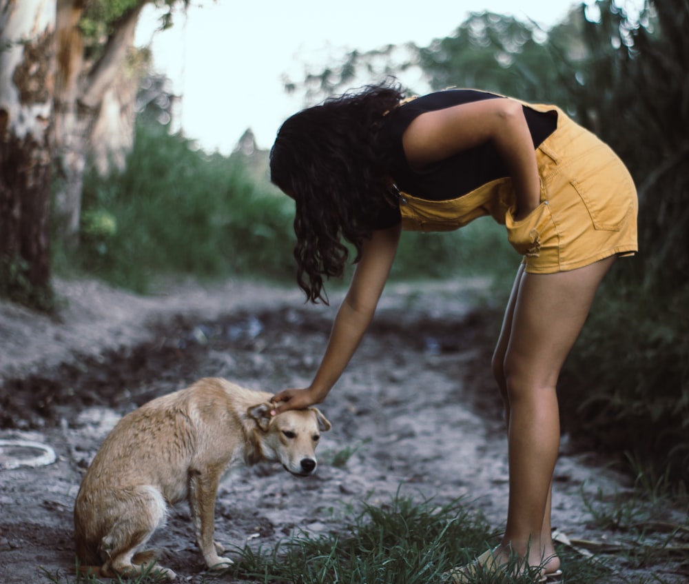 mujer tocando la cabeza del perro