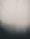 white fog