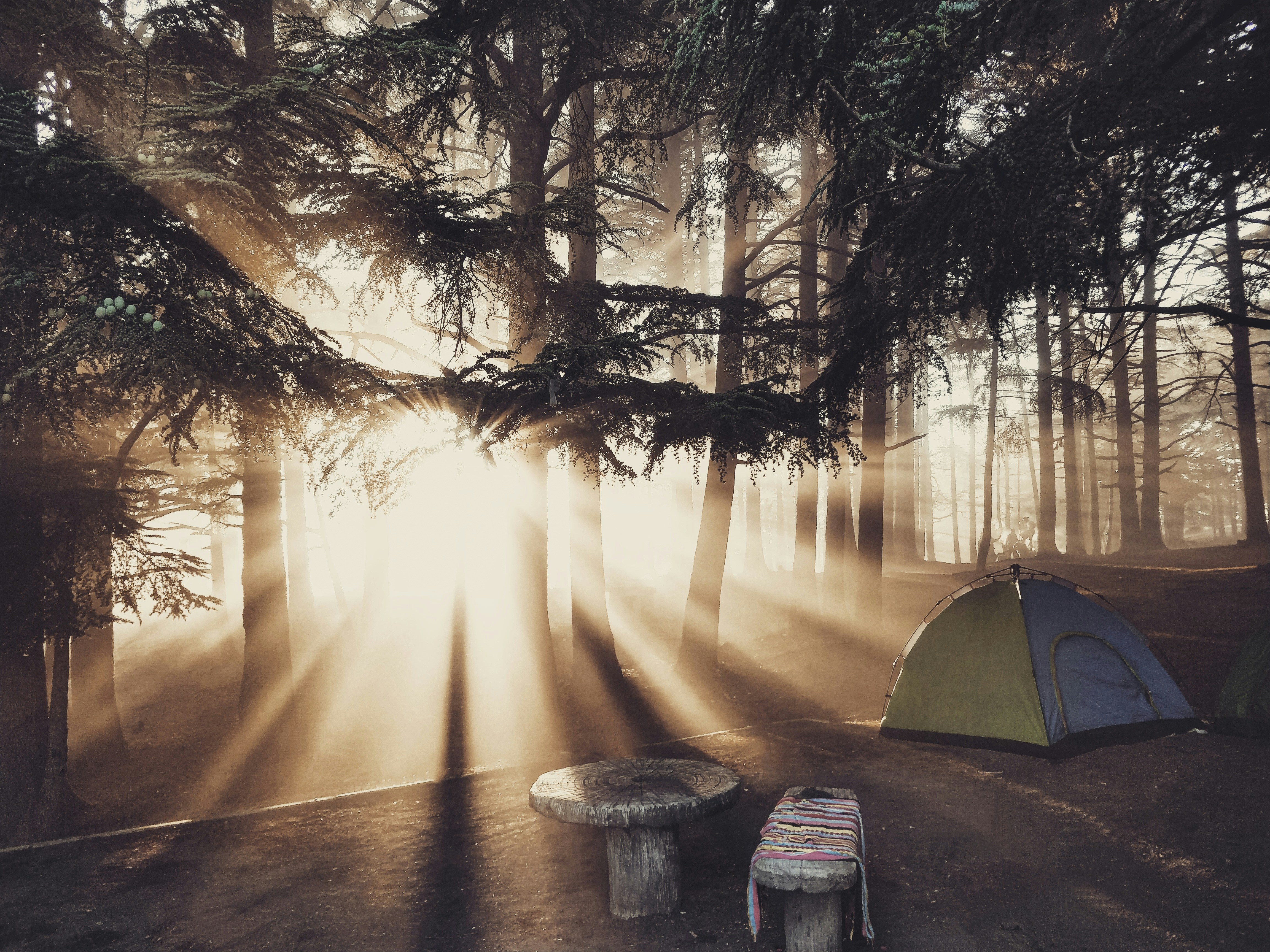 30 Heartwarming Camping Quotes & Campfire Captions for Instagram