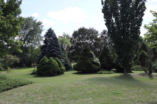 A serene landscape featuring an assortment of evergreen trees and well-maintained grass. The scene includes a variety of tree species with different shapes and sizes, set under a clear blue sky with scattered clouds.