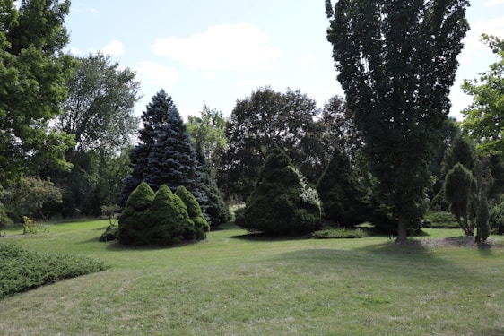 A serene landscape featuring an assortment of evergreen trees and well-maintained grass. The scene includes a variety of tree species with different shapes and sizes, set under a clear blue sky with scattered clouds.