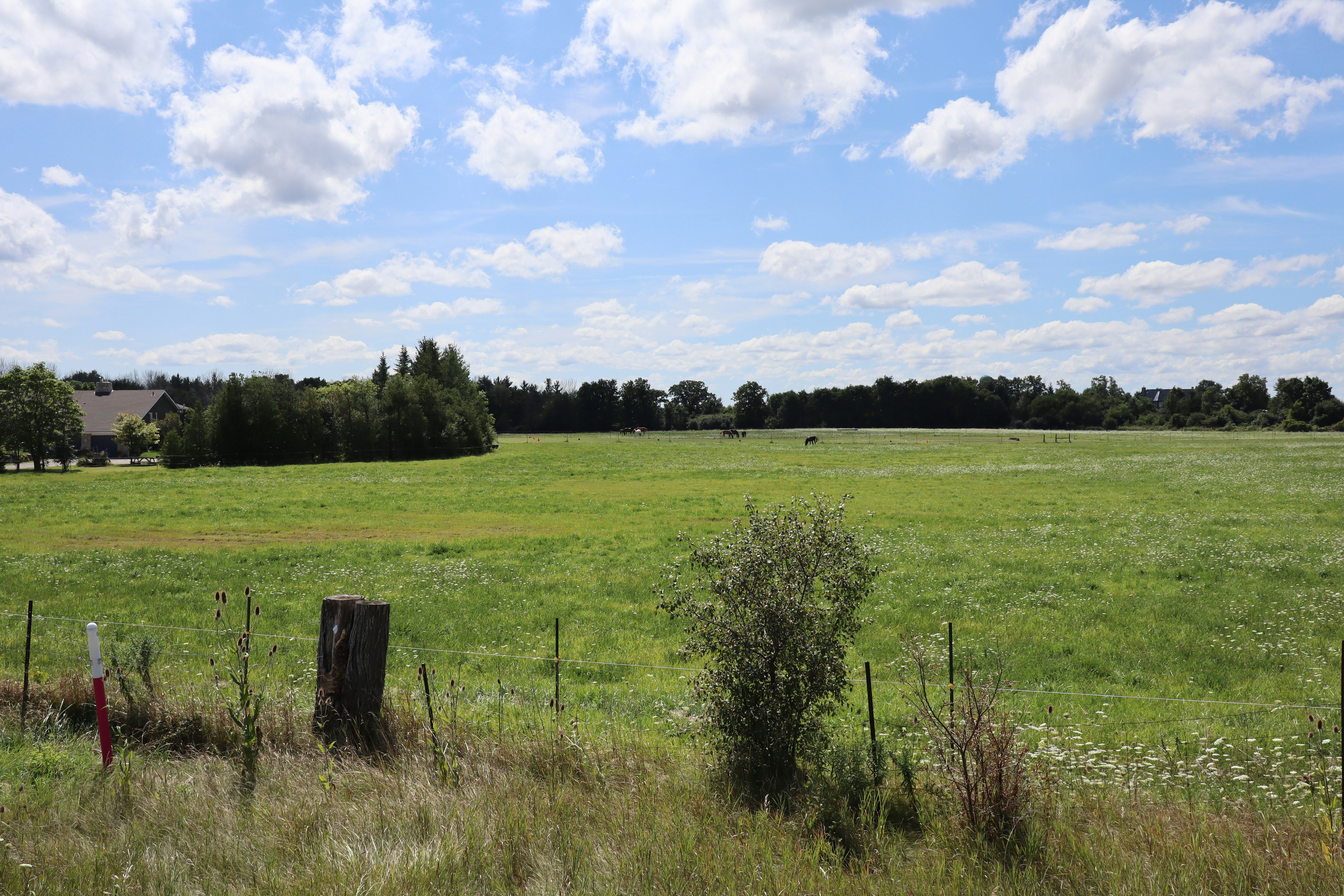 Photo by danreynolds