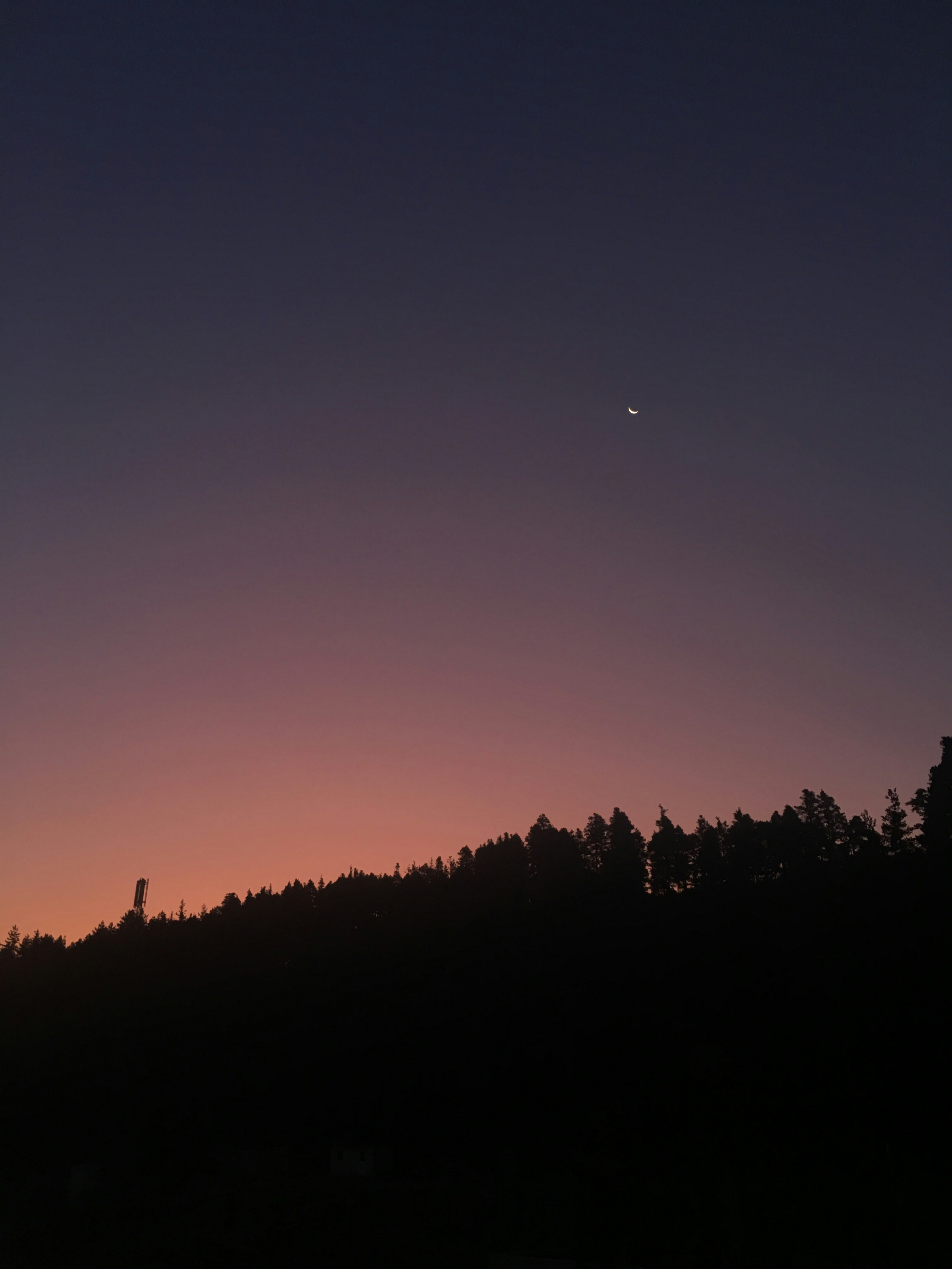 Photo by danielabeleva