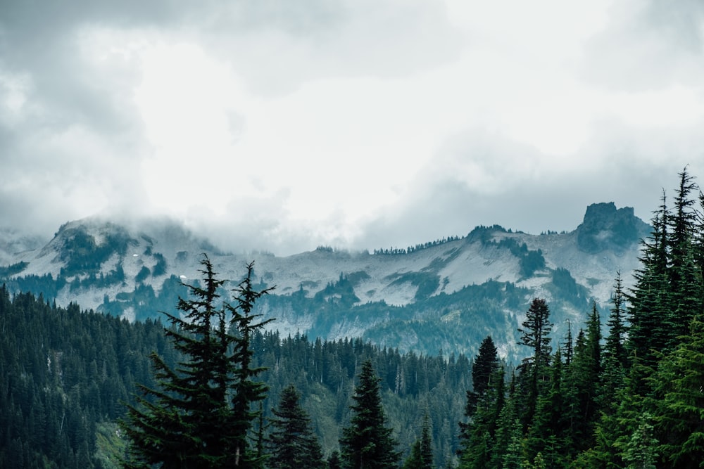 snow covered hills at daytime