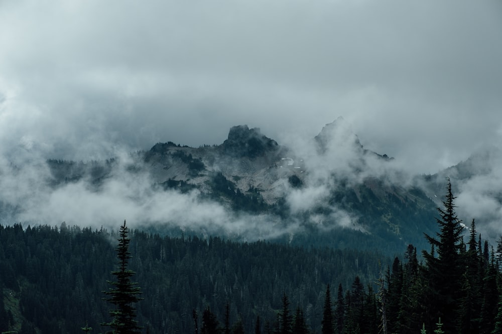 foggy mountain at daytime