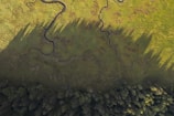 a bird's eye view of a river in the middle of a forest
