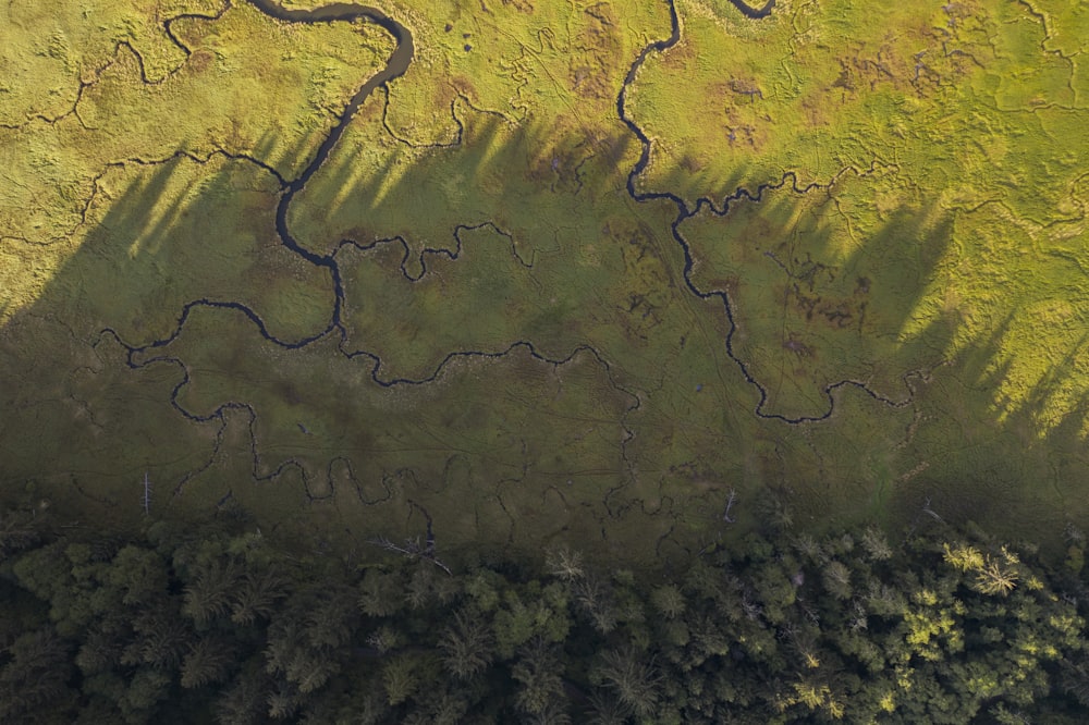 Ein Fluss mitten im Wald aus der Vogelperspektive