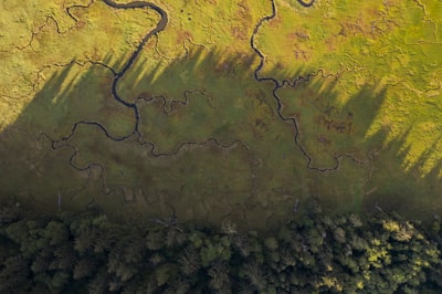 meandering google meet background