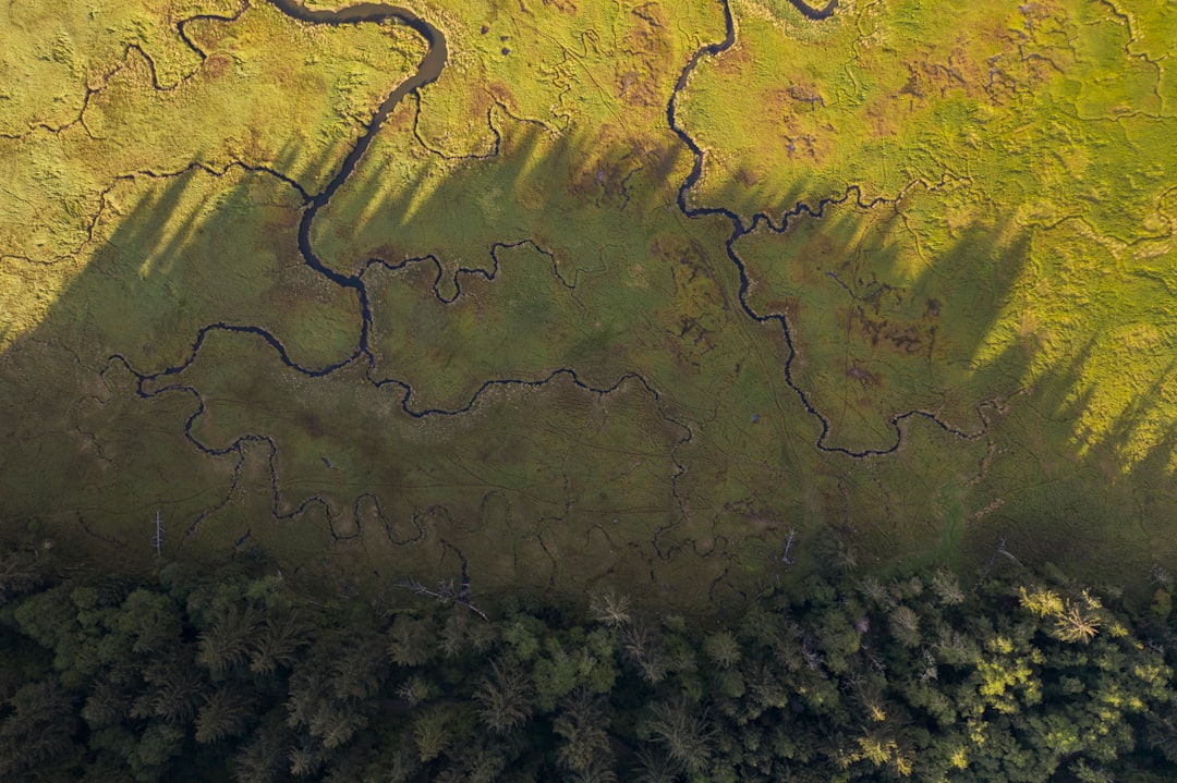 These coastal wetlands are located a few miles north of Lincoln City, Oregon. I can never resist taking drone photos of these meandering rivers and streams. I wanted to capture the old-growth forest that borders this ecosystem and the incredibly long shadows of the large pine trees. 