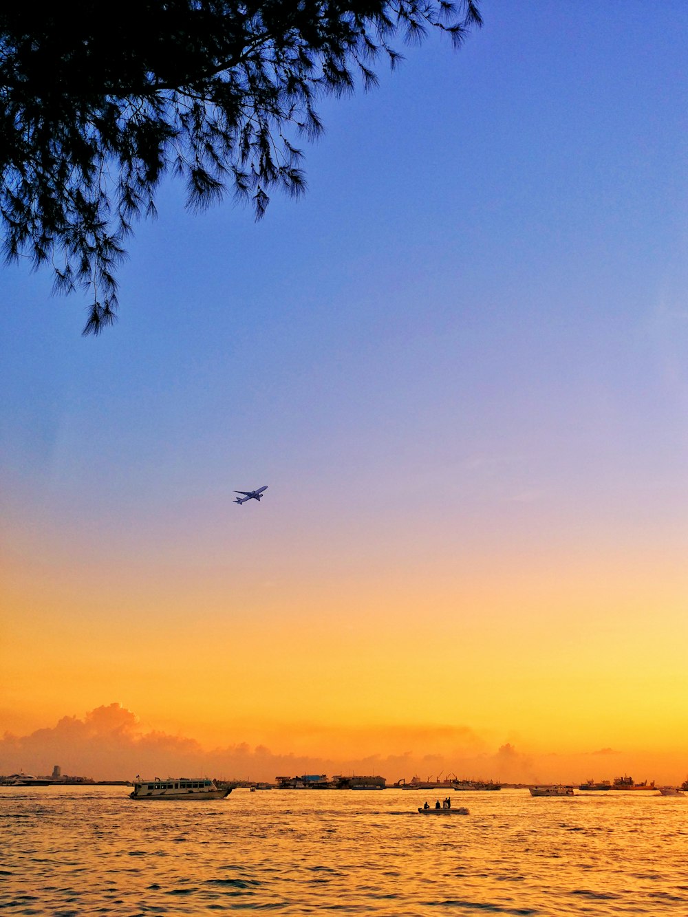 airliner in flight