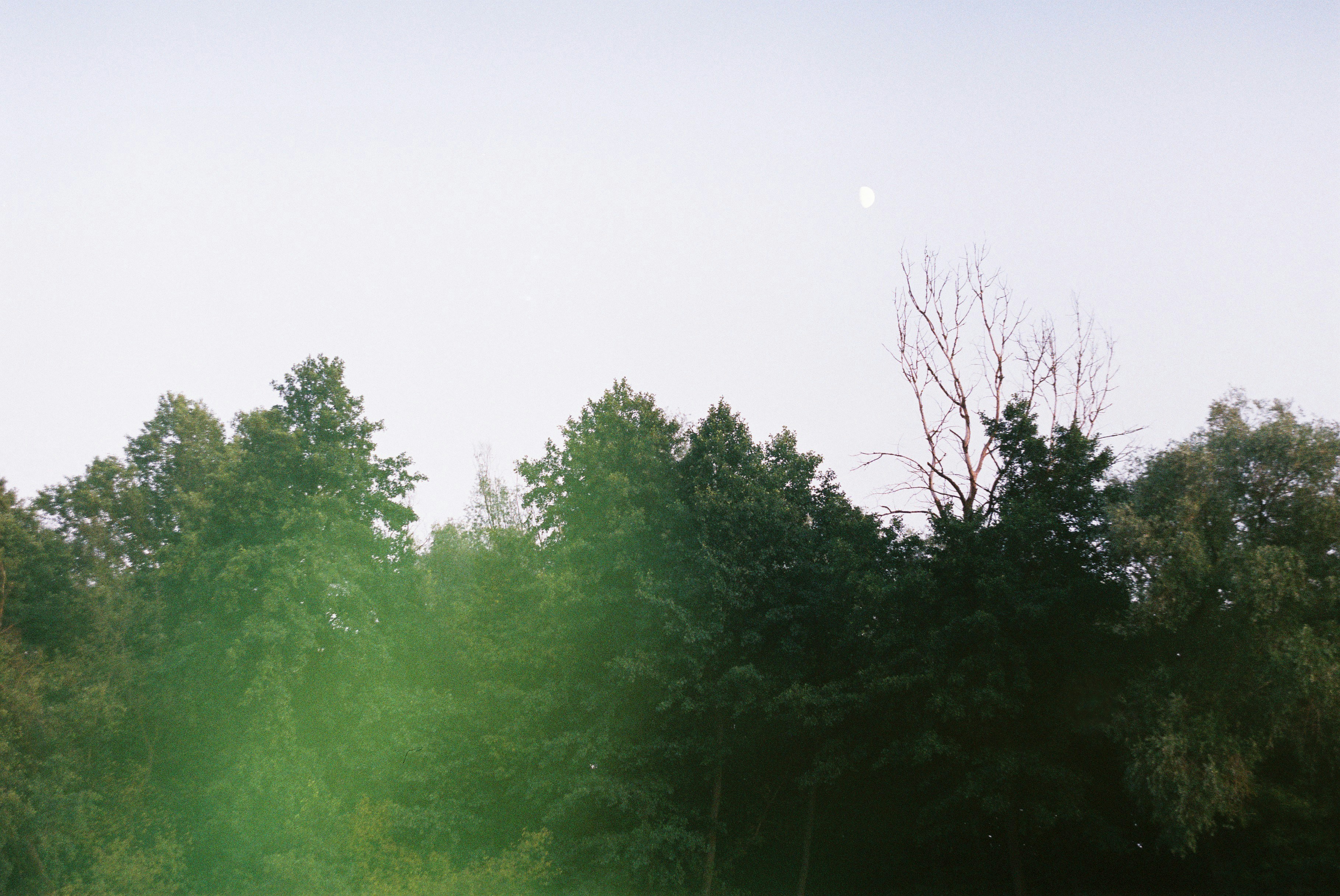 Photo by wanabemceez