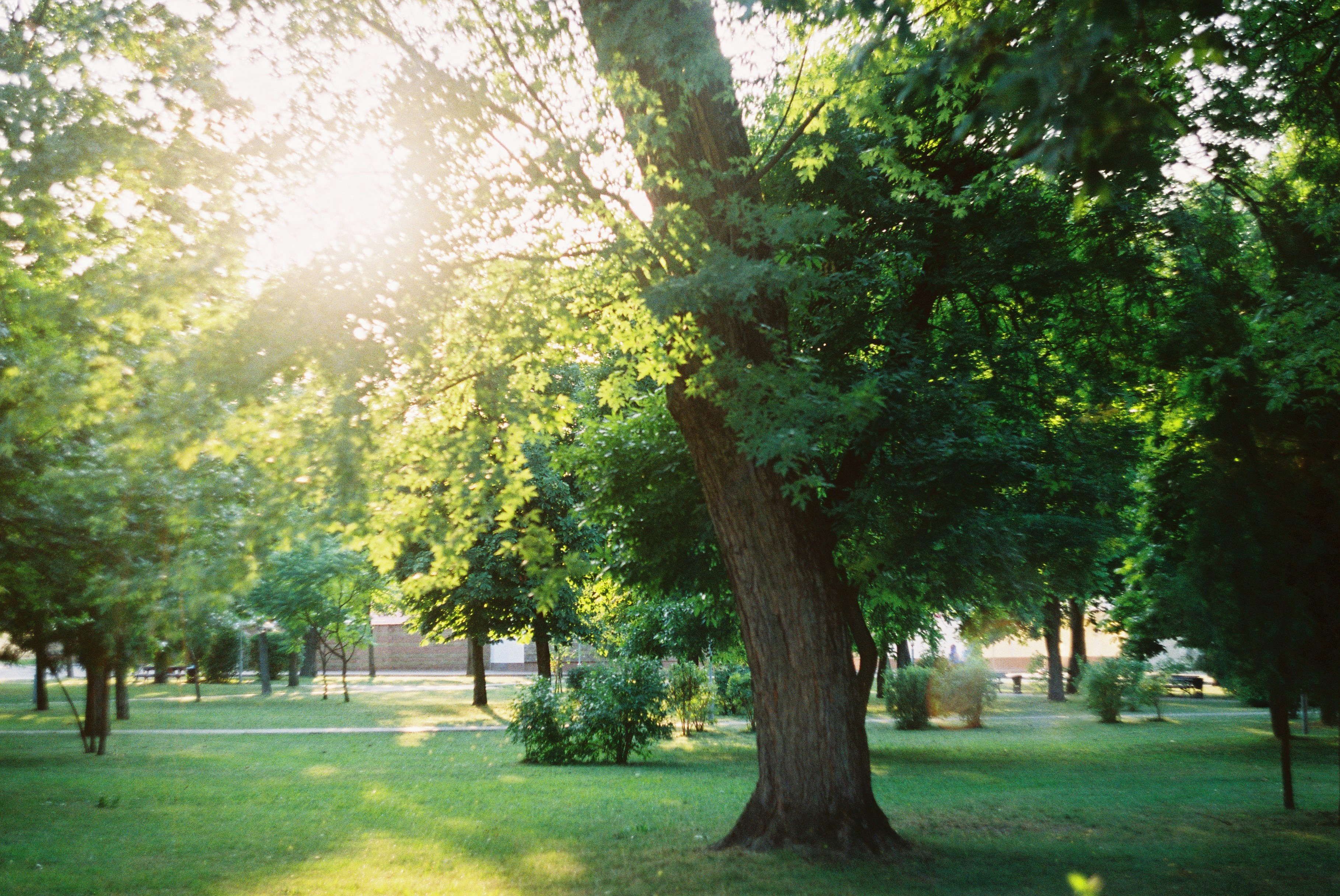 Photo by wanabemceez