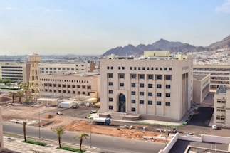 grey concrete buildings during daytime