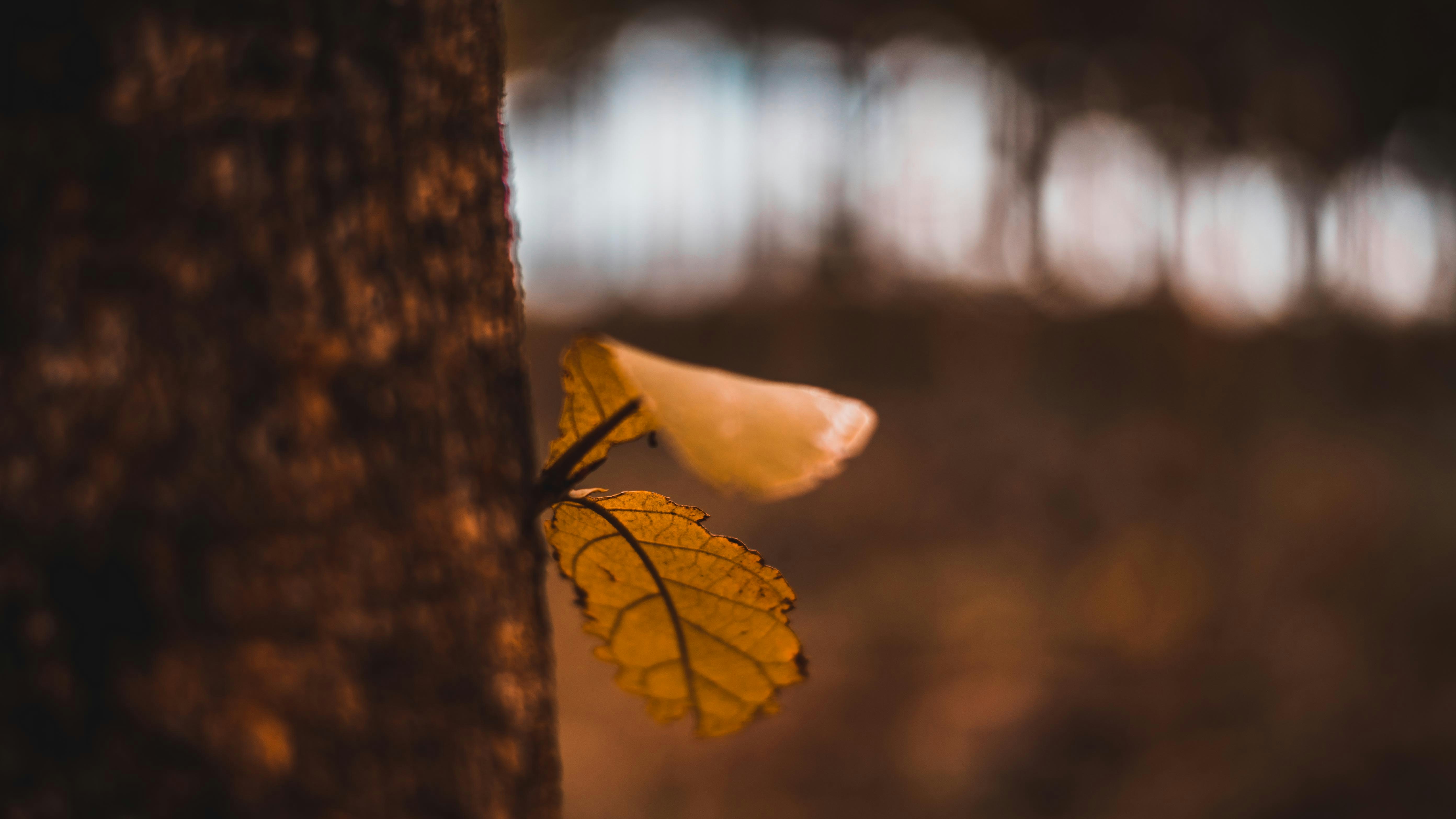 Photo by rotimi_olalekan