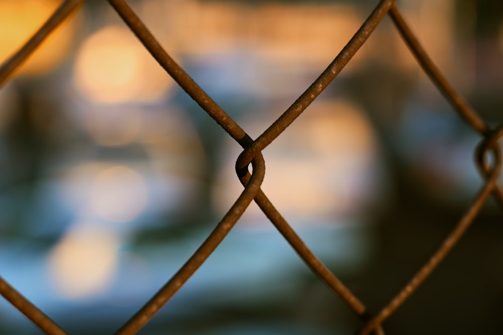 macro photography of brown chain link