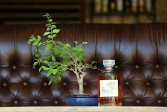A Tosa Inu dog sitting next to a beautifully arranged bonsai tree and a plate of steak on a rustic wooden table.