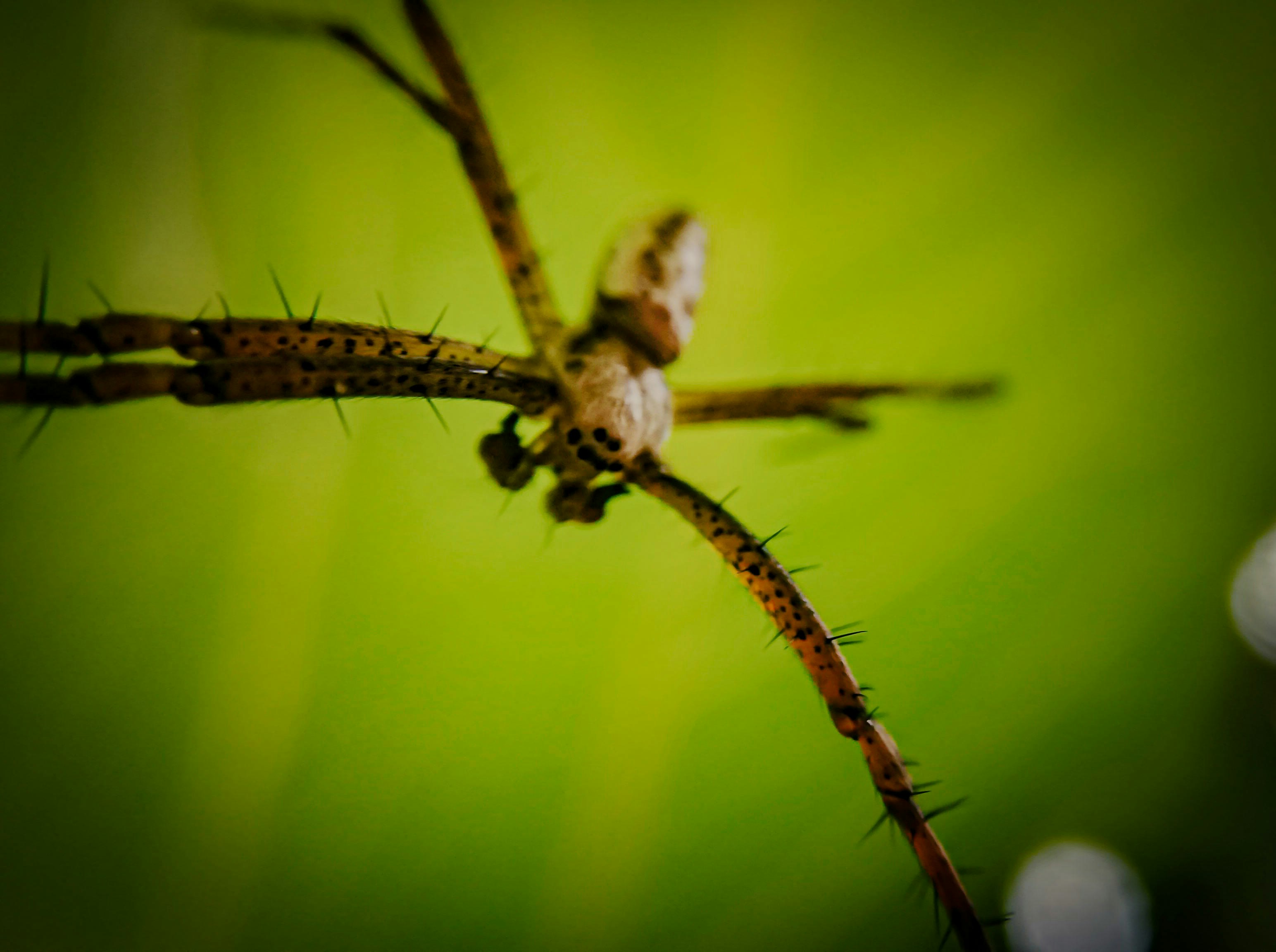 Photo by khalvatneshin