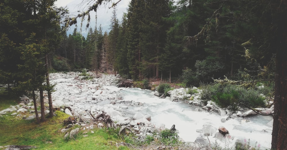 river flows at daytime