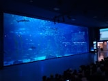A large aquarium tank with a variety of sea life including sharks, fish, and sea plants. The tank is filled with clear blue water and is observed by a group of people sitting in the foreground. The environment is dimly lit, enhancing the blue hue of the water.