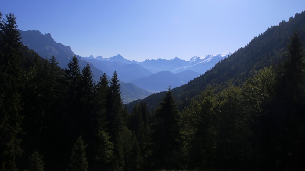 silhouette of mountains during daytime