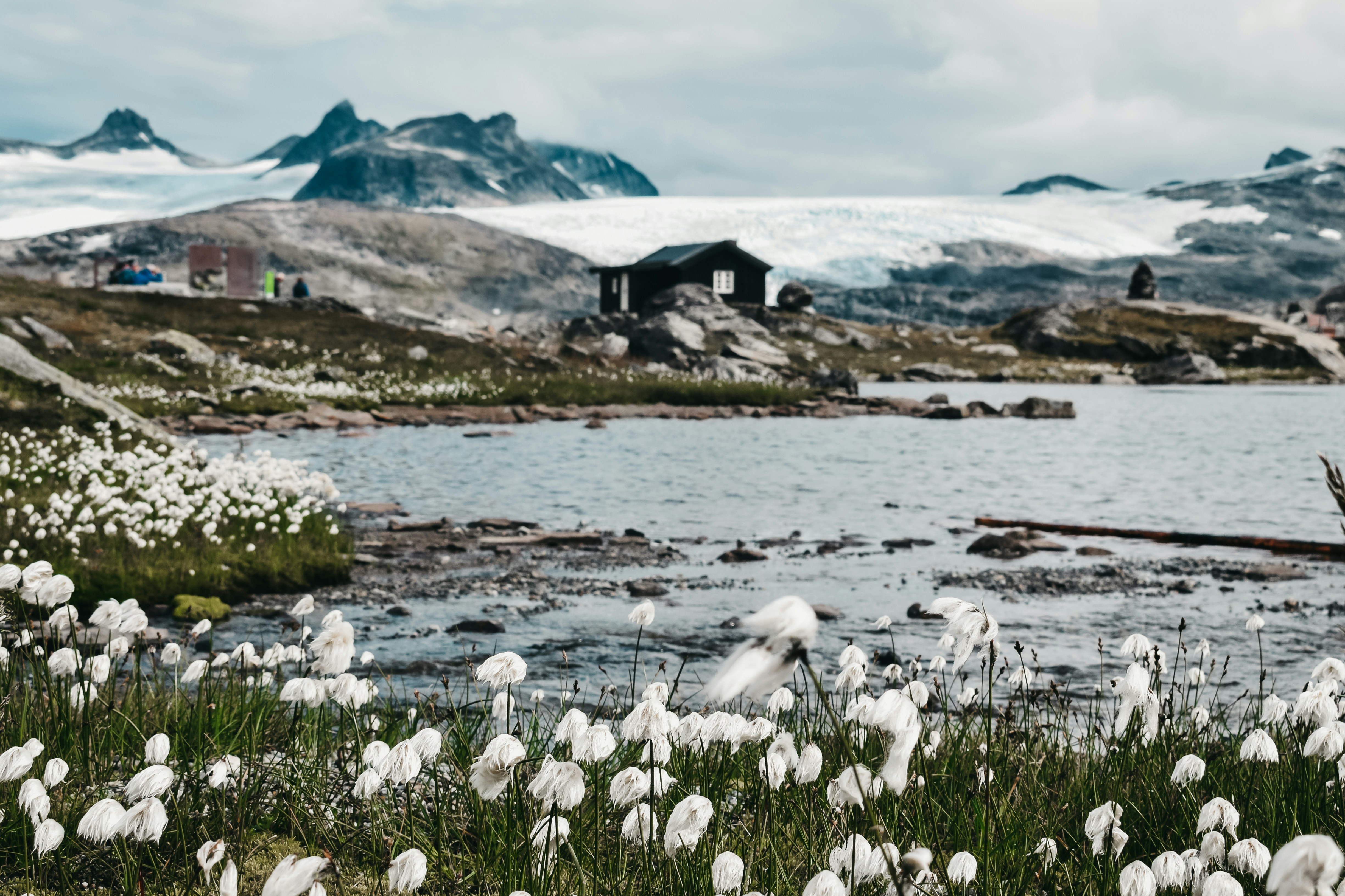 Photo by darya_tryfanava