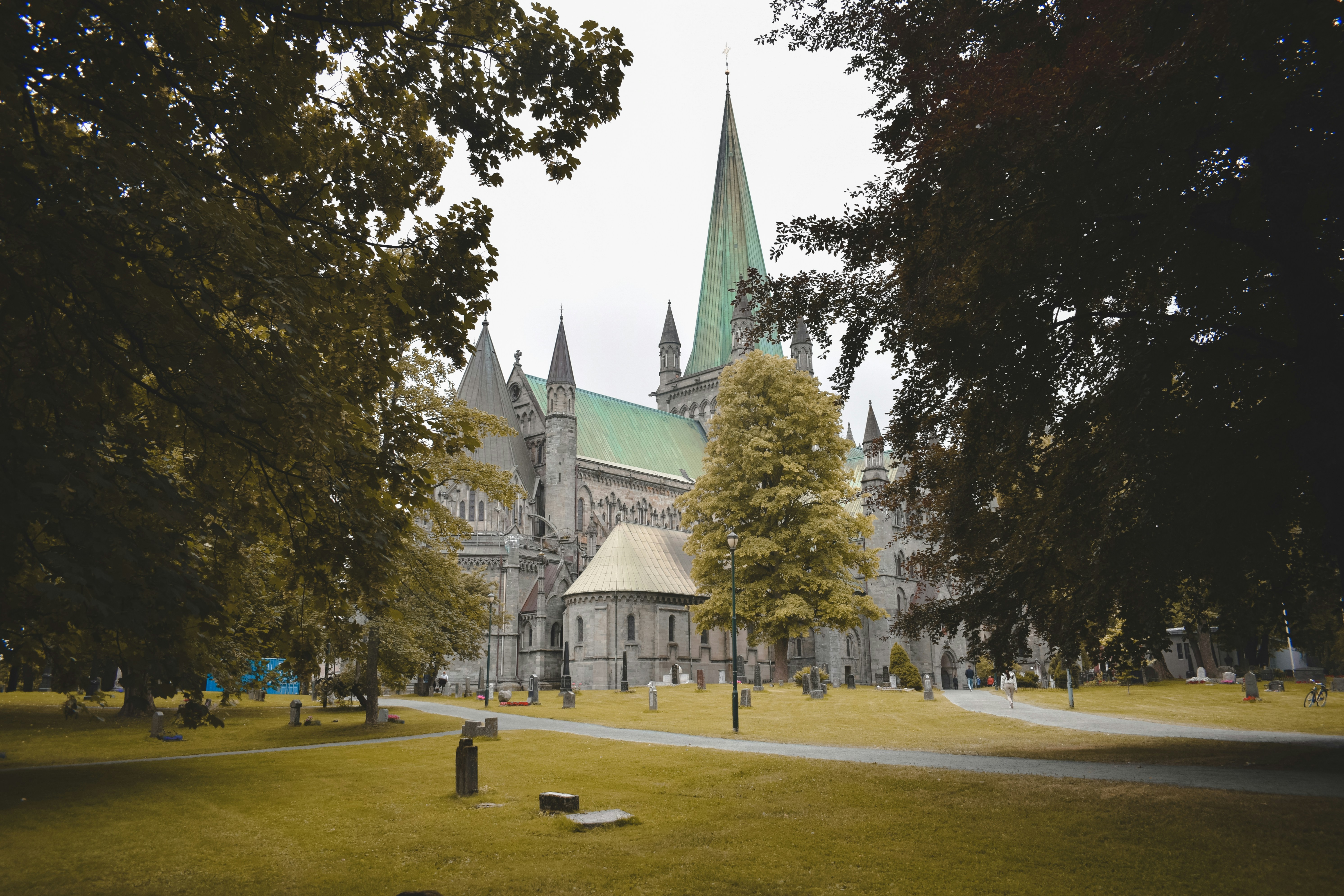 Photo by darya_tryfanava