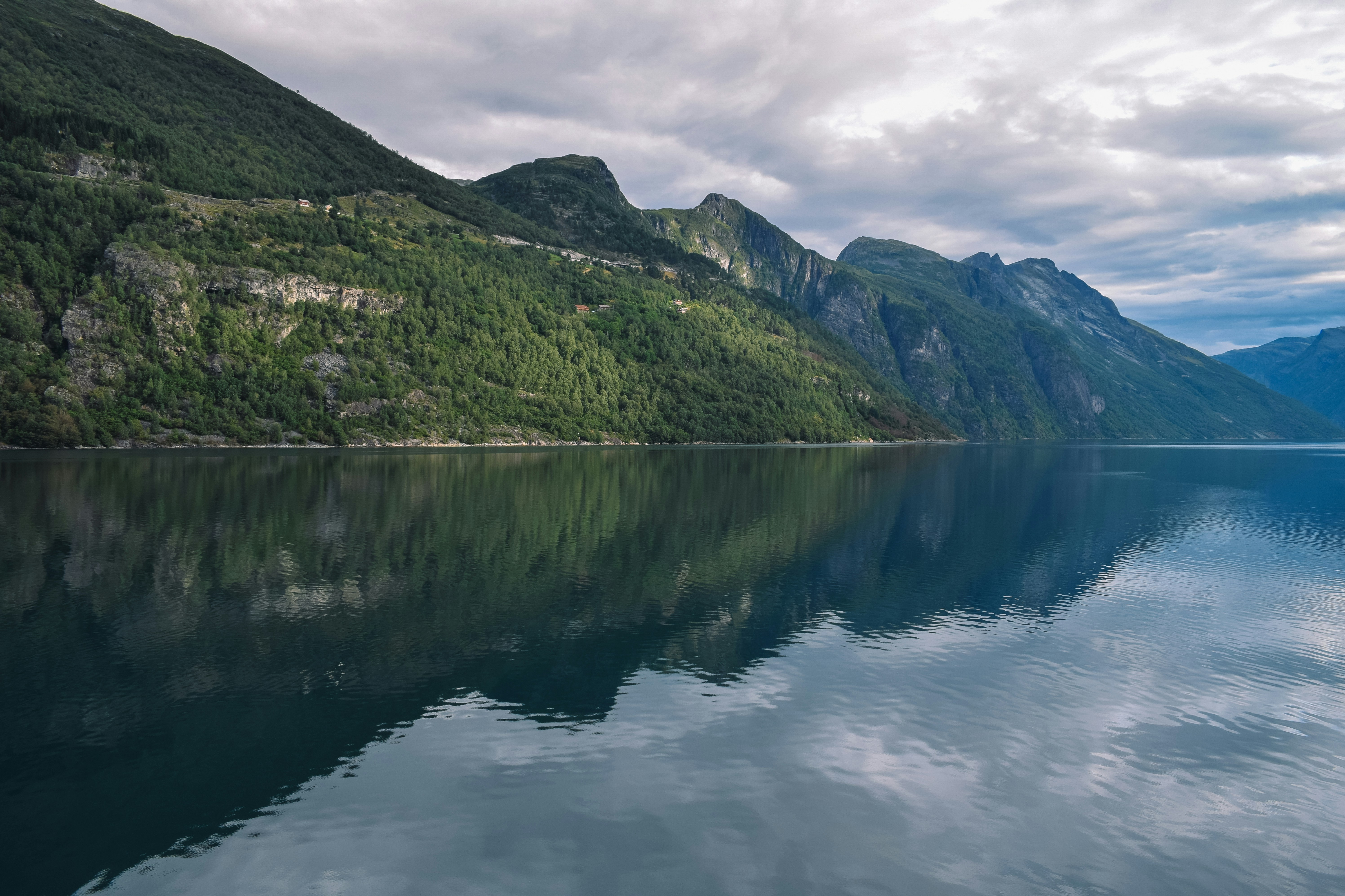 Photo by darya_tryfanava