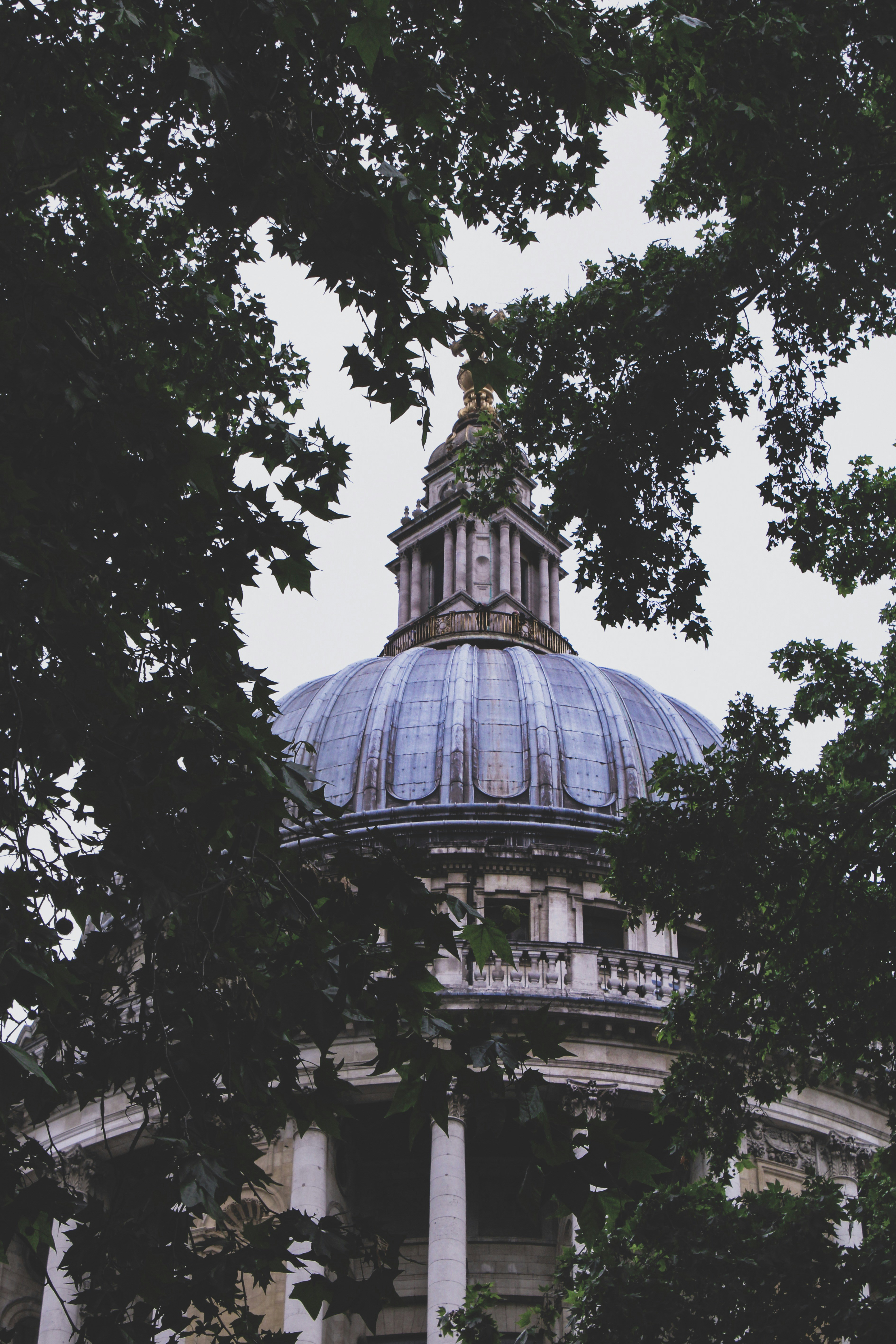 Photo by puregraphics