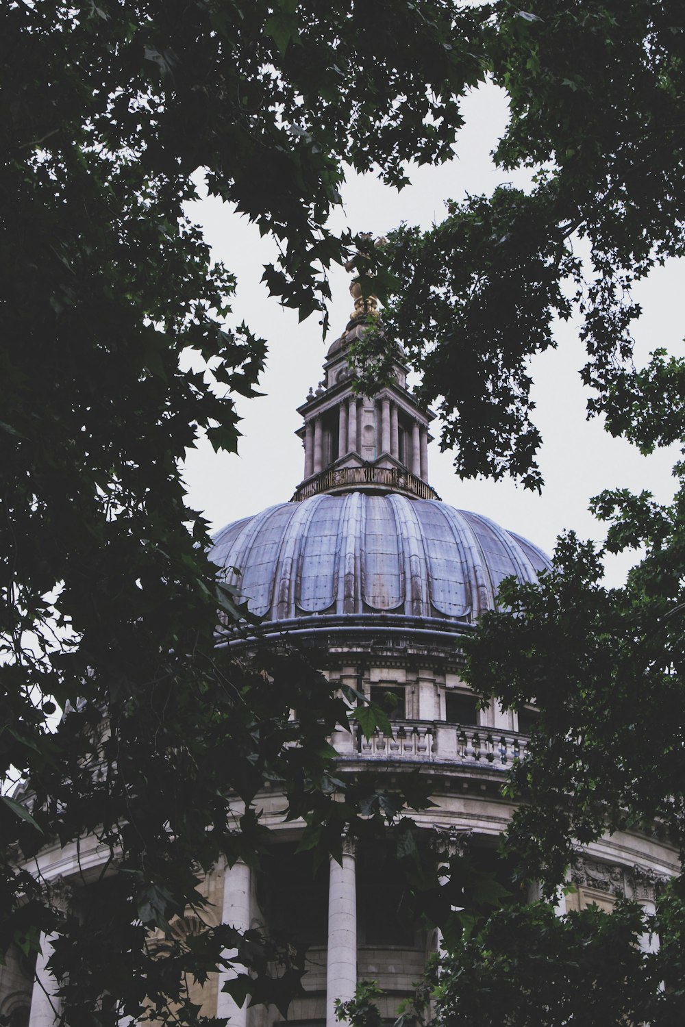 blue dome building